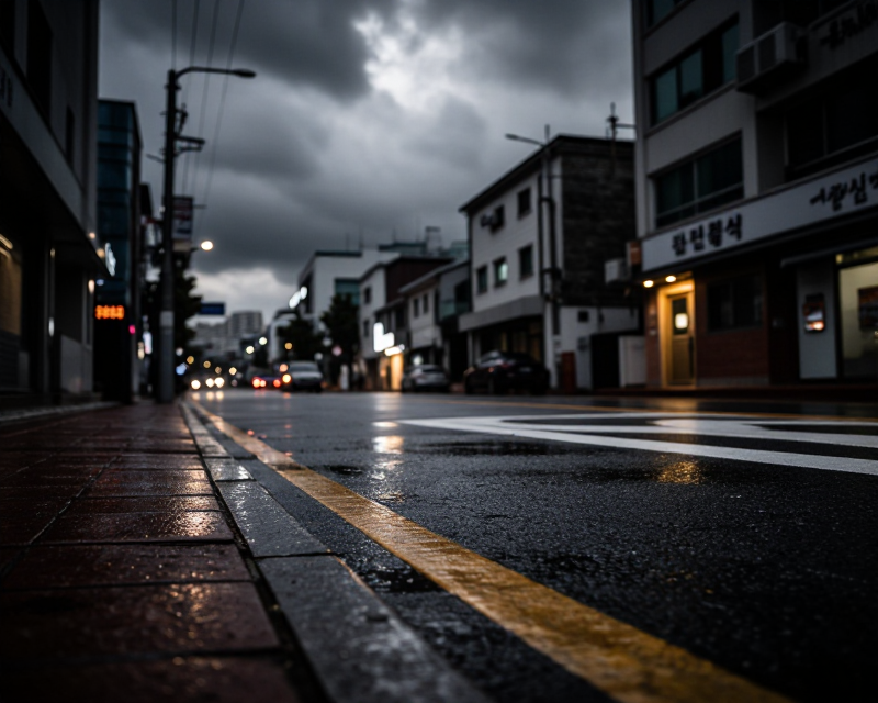Moody Korean Urban Weather